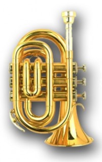 Sebastian SPTR-325 - ������