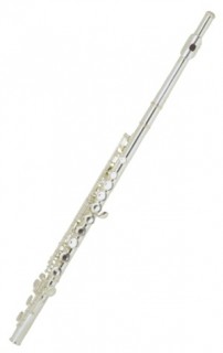 BRAHNER F-300S - ������