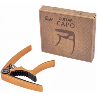 FLIGHT FCG-GD - ��������� ��� ������, ���� �������