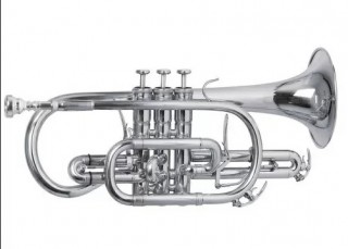 ROY BENSON CR-202S - ������ Bb