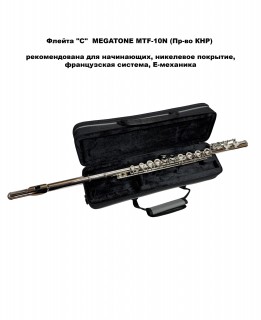 MEGATONE MTF-10N  ������ �