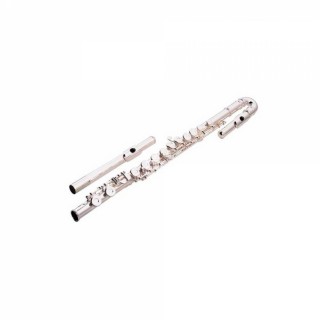 BRAHNER F-310SC - ������