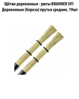 BRAHNER SV1 - ٸ��� ���������� (����)