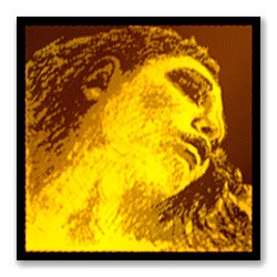 PIRASTRO 415091 Evah Gold Violin - ������ ��� ������� 4/4 �������� (���������)