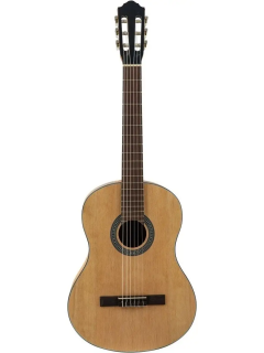 FLIGHT C-100 NA 3/4 - ������ ������������ 3/4