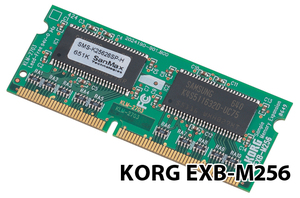 KORG EXB-M256