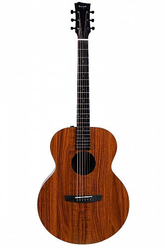 Enya EM-X1EQ+ - ������������������� ������