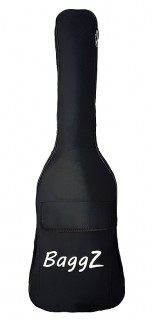 BaggZ E-Bag-1 ����� ��� �������������