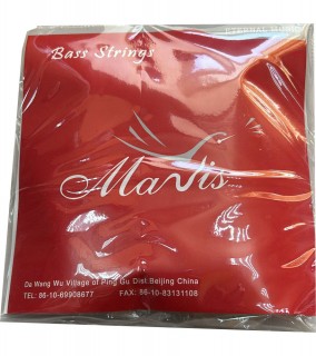 MAVIS DBS1006 - ������ ��� ����������