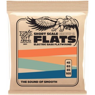 ERNIE BALL 2801 Flatwound Group 2 Short Scale 45-105 - ������ ��� ���-������