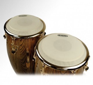 EVANS EC1250E - ������� ��� ����� ����������� 12,50", � ��������� �������