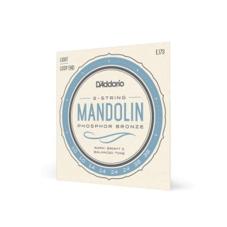D ADDARIO EJ73 - ������ ��� ���������,