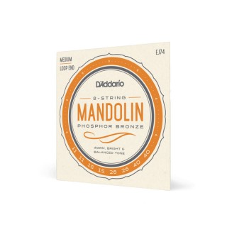 D'ADDARIO EJ74 - ������ ��� ���������