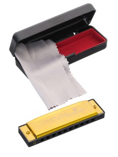 Future Star FF-1016 GD - ������ �������� C, ������� � ������ �����