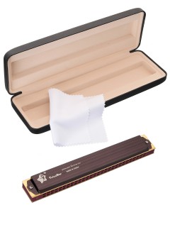 Future Star FF-2816 BR  - ������ �������� C, ���������� � ������ �����