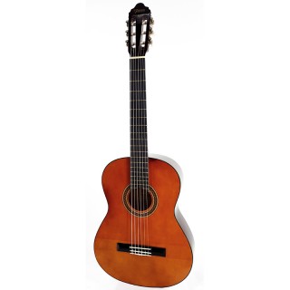 Valencia VC102 ������ ������������ 1/2