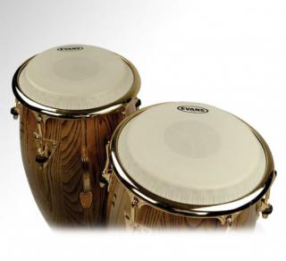 EVANS EC1175E ������� ��� ����� 11,75