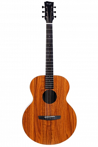 Enya EA-X1+ ������������ ������