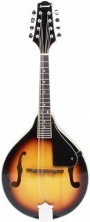 Savannah SA-100 - ��������� 