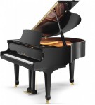 SCHULZE POLLMANN SU 160H Black Gloss ����� ���������� ������ ������������ 160 ��