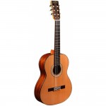 Sigma CM-6 - ������������ ������