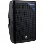 ENLEMA APS 15 DSP - ������������ �������