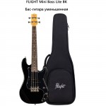 FLIGHT Mini Bass Lite BK - ���-������ �����������