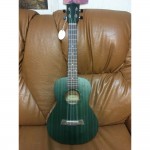 MAXINE KU210C/23 /GRN - ������� ����������