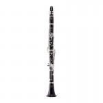 ROY BENSON �B-317 - Bb �������